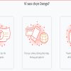 các lý do nên lựa chọn dongo